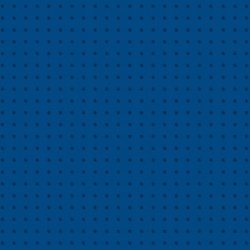 soltis_86-2161