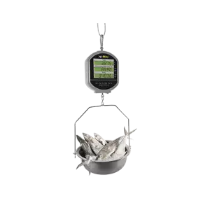 bacmu-40_2